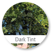 Dark Tint Glass — Northfield, IL — Raynor Door Company